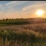 Tipi Glamping Naturcamping In Der Seenplatte Inklusive Strom- Dixi-wc!! #mecklenburg-vorpommern