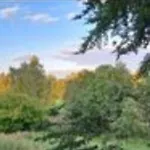 Tipi Glamping Naturcamping In Der Seenplatte Inklusive Strom- Dixi-wc!! #mecklenburg-vorpommern *