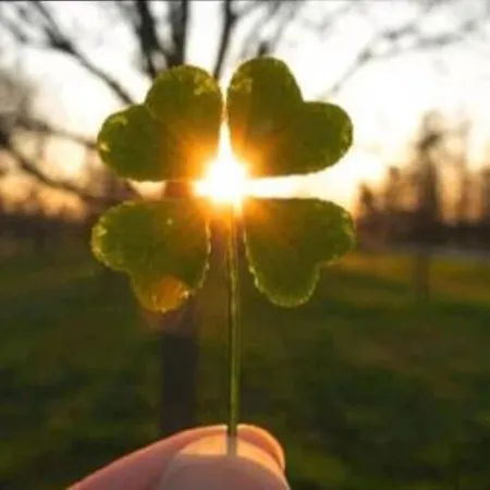 Tipi Glamping Naturcamping In Der Seenplatte Inklusive Strom- Dixi-wc!! #mecklenburg-vorpommern *