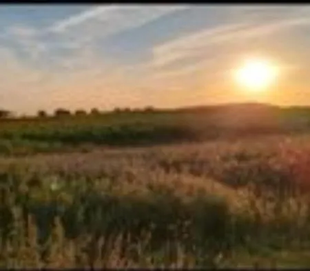 Tipi Glamping Naturcamping In Der Seenplatte Inklusive Strom- Dixi-wc!! #mecklenburg-vorpommern