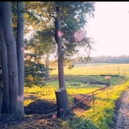 Οργανωμένο κάμπινγκ Tipi Glamping Naturcamping In Der Seenplatte Inklusive Strom- Dixi-wc!! #mecklenburg-vorpommern Carpin