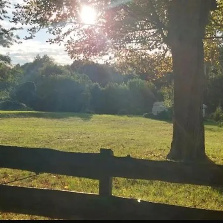 Tipi Glamping Naturcamping In Der Seenplatte Inklusive Strom- Dixi-wc!! #mecklenburg-vorpommern Carpin