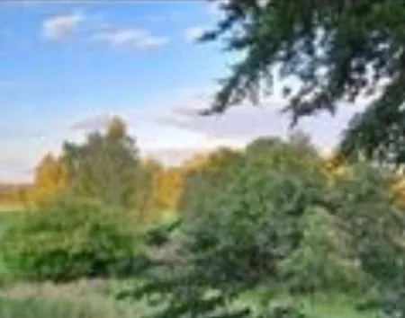 Tipi Glamping Naturcamping In Der Seenplatte Inklusive Strom- Dixi-wc!! #mecklenburg-vorpommern *