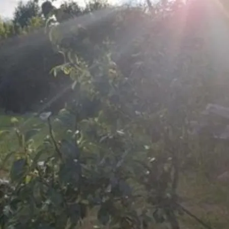 Tipi Glamping Naturcamping In Der Seenplatte Inklusive Strom- Dixi-wc!! #mecklenburg-vorpommern Οργανωμένο κάμπινγκ Carpin