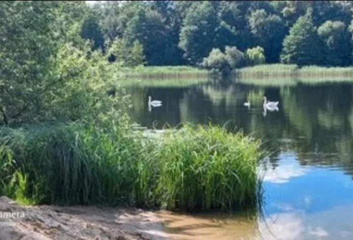 Tipi Glamping Naturcamping In Der Seenplatte Inklusive Strom- Dixi-wc!! #mecklenburg-vorpommern